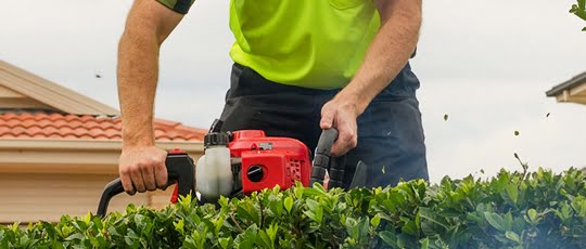 The Right Grass for the Right Reason