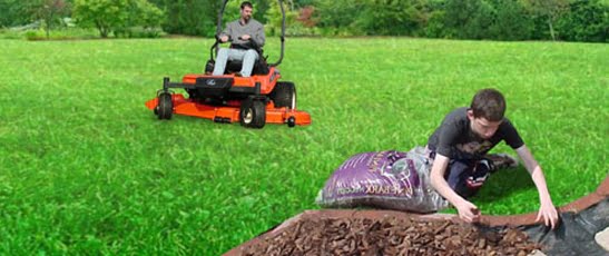 New Lawns and Renovations