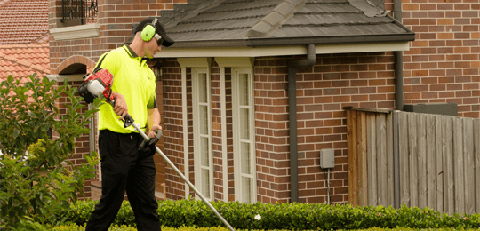 Fox Mowing & Gardening – Growing Again!