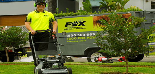 FOX – Expanding on The Fraser Coast