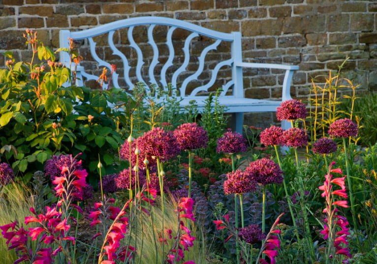 How to Get Excited About Your Garden Again
