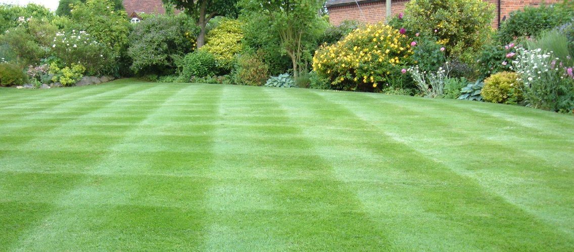 Fixing Patchy & Thinning Lawns