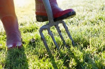 Lawn Aeration