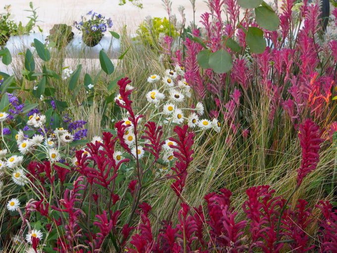 The Lingo Every Novice Gardener Needs to Know