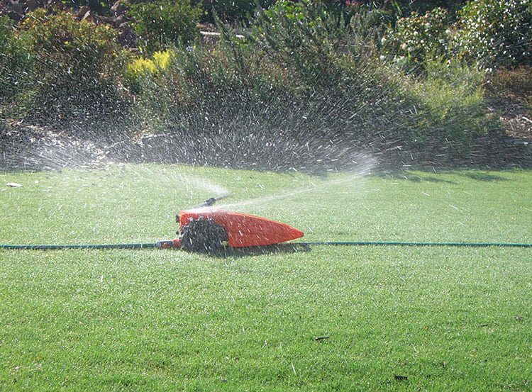 Simple Tips To Get  Looking Lawn For Summer