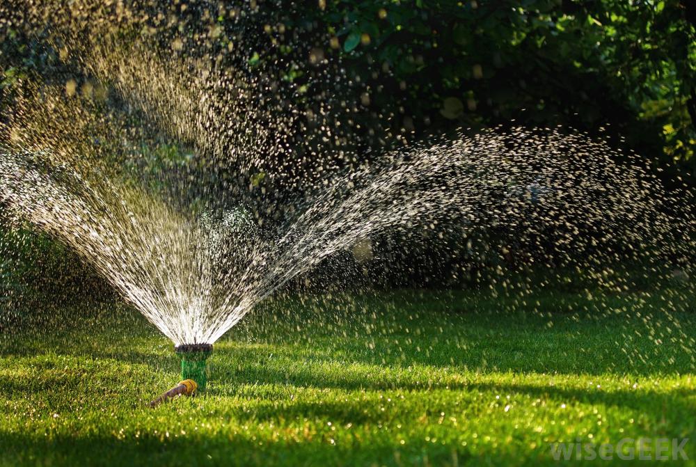 What Is The Best Time Of The Day To Water Your Lawn?