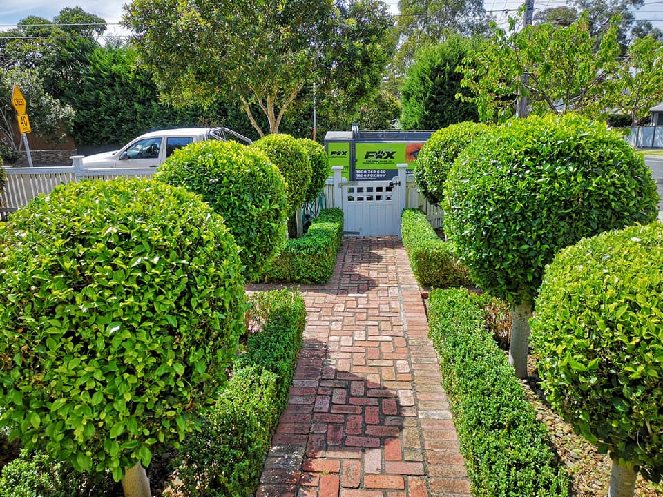 FOX – Your Expert For Perfect Hedges & Pruning
