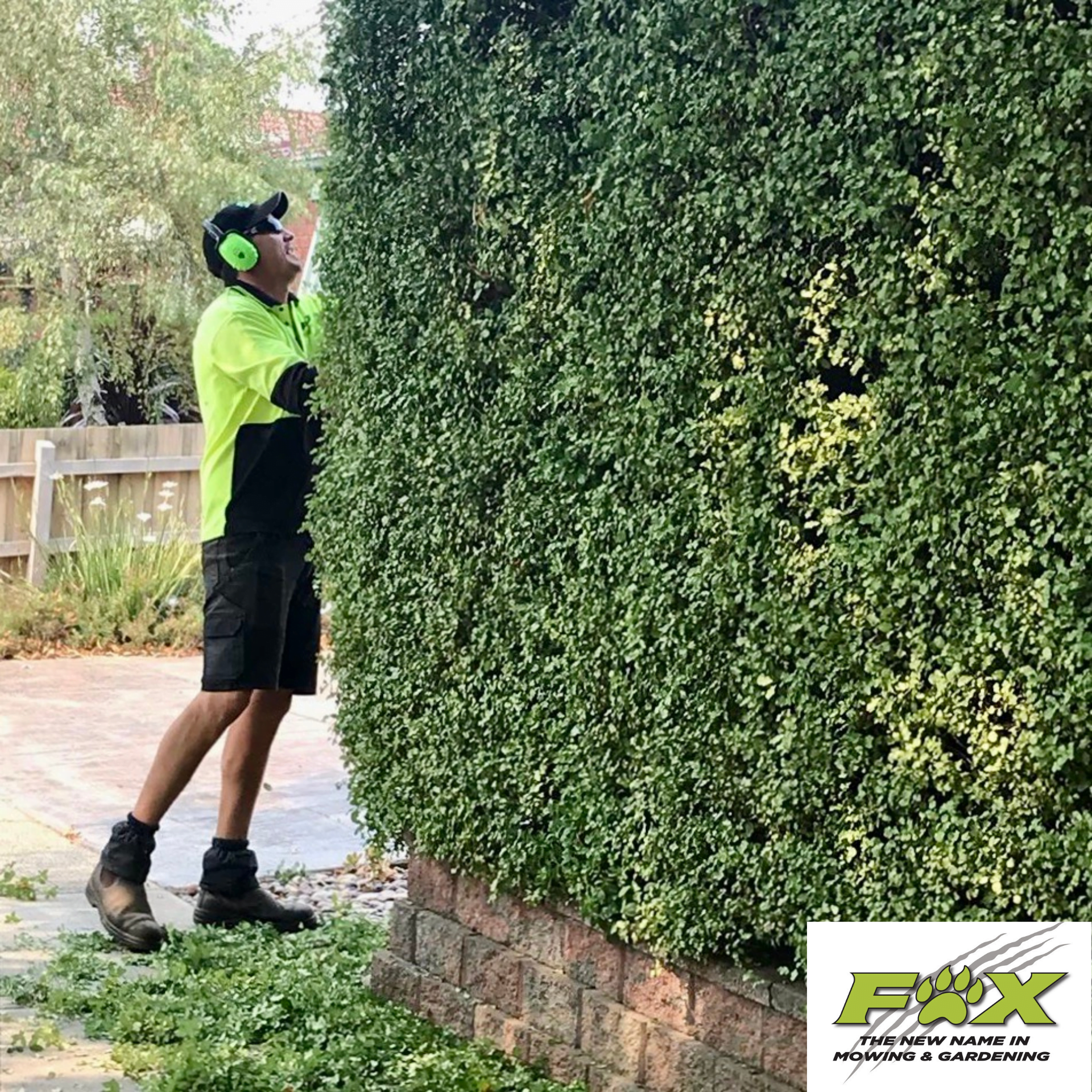 FOX – Your Expert For Perfect Hedges & Pruning